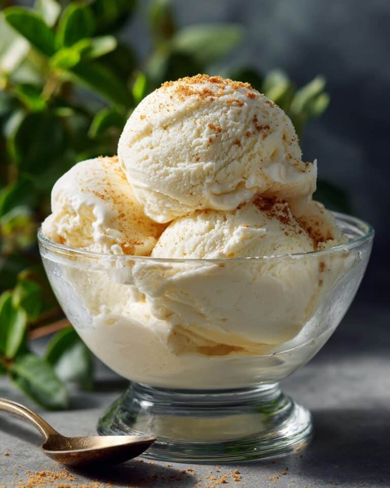 Sugar-Free Vanilla Ice Cream Recipe
