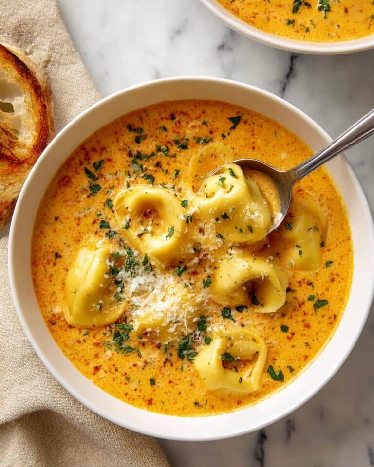 Cheesy Tomato Tortellini Soup Recipe
