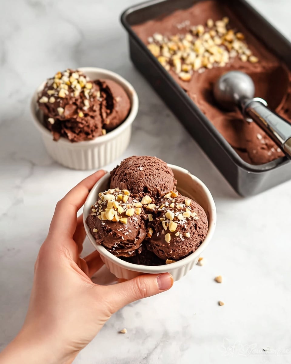 Chocolate Coconut Milk Ice Cream Recipe - Recipe Image