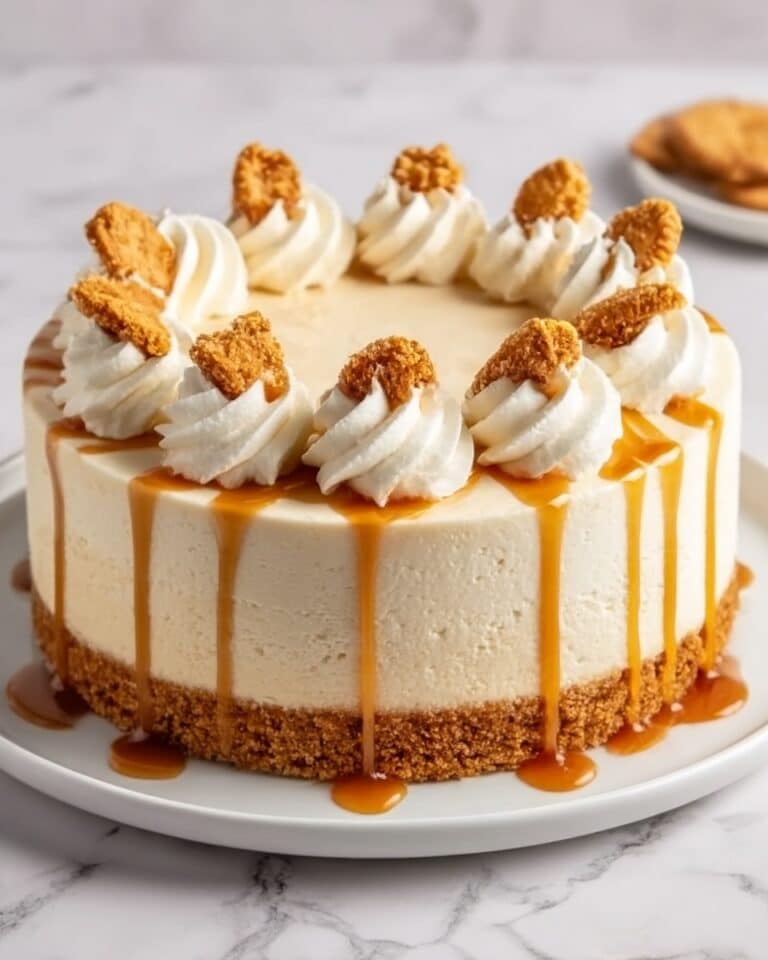 No-Bake Biscoff Cheesecake Recipe